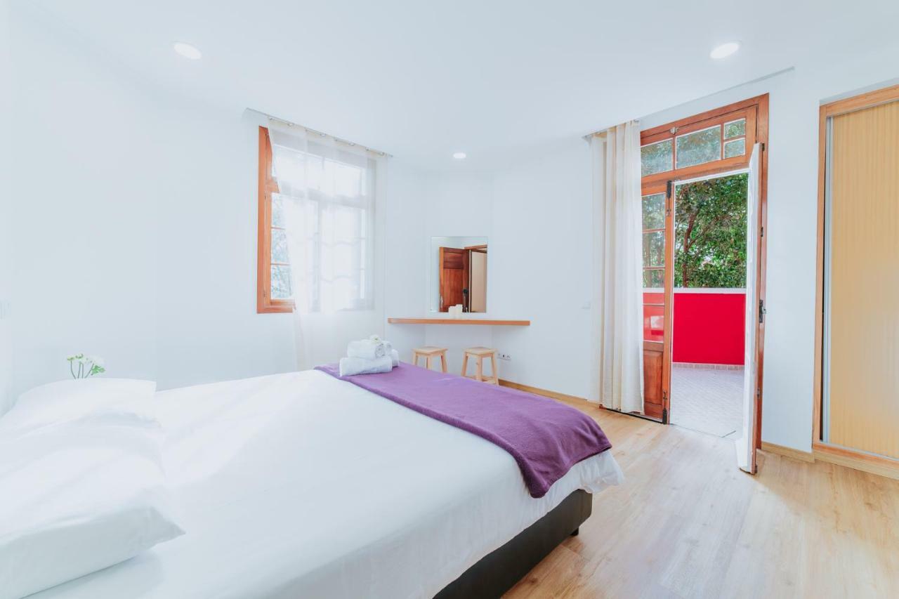 Casa Strelitzia Daire Funchal  Dış mekan fotoğraf