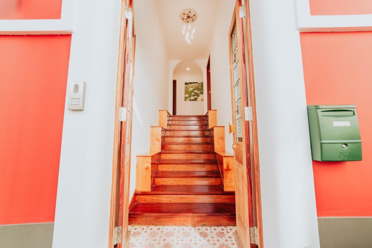 Casa Strelitzia Daire Funchal  Dış mekan fotoğraf